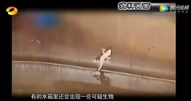 微信圖片_20190721173958.jpg